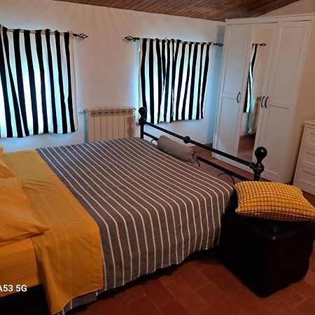 Pepe House Villa Capannori Dış mekan fotoğraf