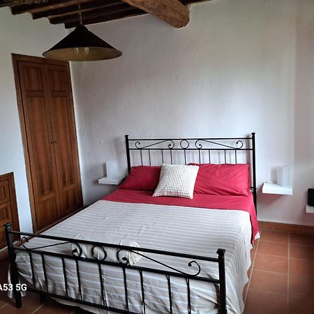 Pepe House Villa Capannori Dış mekan fotoğraf